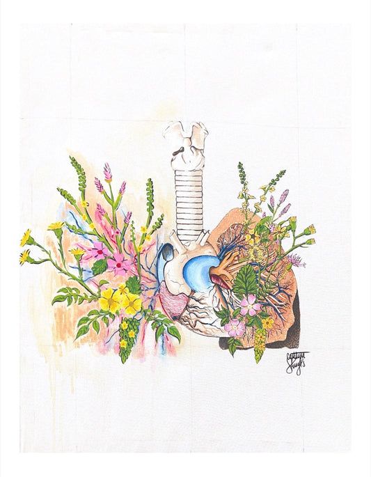 Abstract Anatomy