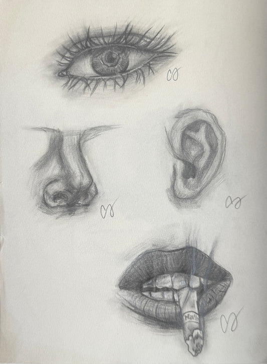 Facial Features